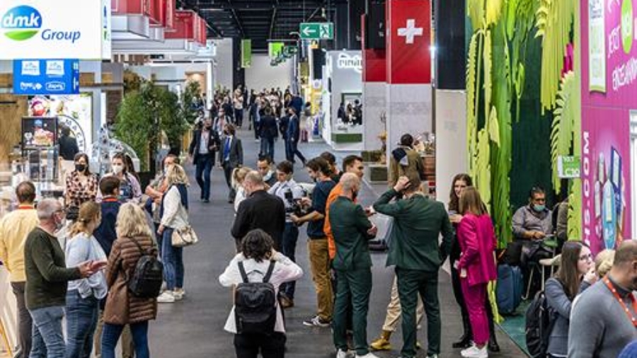 Ifo-Umfrage: Aussteller setzen weiterhin auf reale Messen