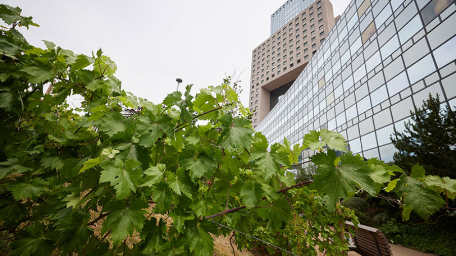 Messe Frankfurt: Corporate Carbon Footprint ermittelt